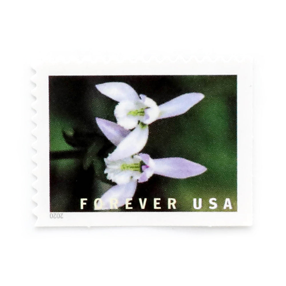 U.S. 2021 Wild Orchids Framed Forever Stamps